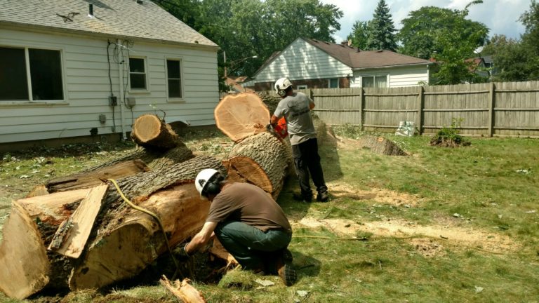 Tree Service in Highland, Michigan (Oakland County, Michigan) - C Green's Tree Service