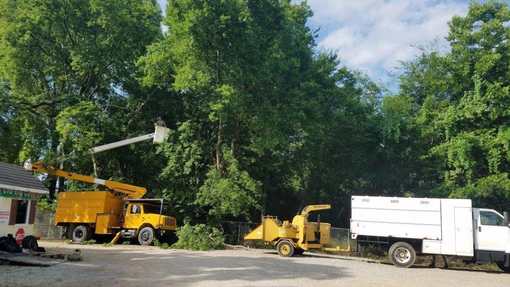 Tree Removal in Highland Michigan
