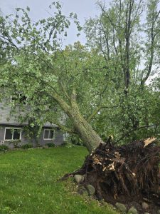 Tree Cutting company in Oakland County Michigan