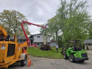 Tree Cutting company in Oakland County Michigan