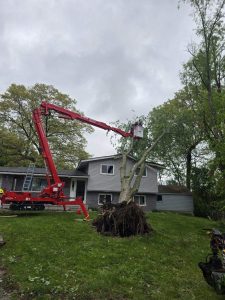 Tree Cutting company in Oakland County Michigan