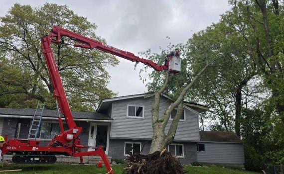 Tree Cutting company in Oakland County Michigan